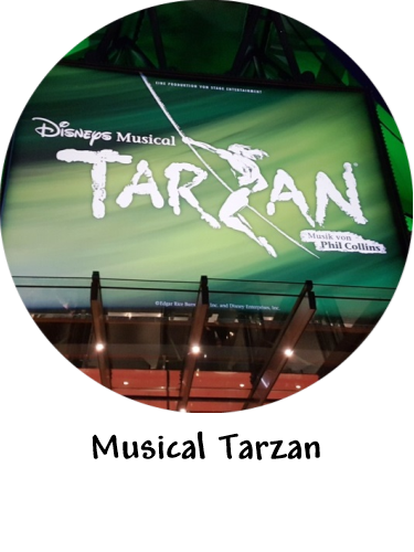Musical Tarzan 2017
